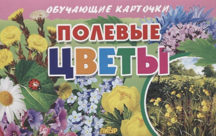 Обложка книги "Обучающие карточки "Полевые цветы""