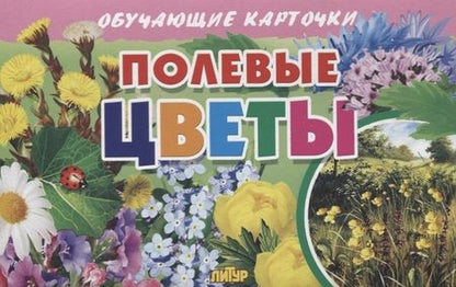 Фотография книги "Обучающие карточки "Полевые цветы""