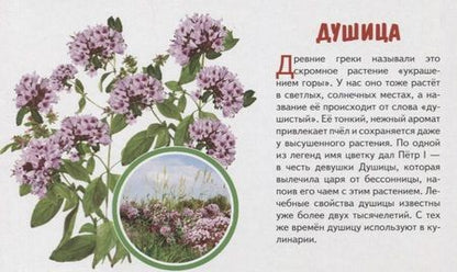Фотография книги "Обучающие карточки "Полевые цветы""