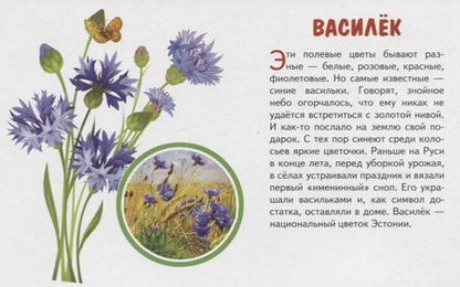 Фотография книги "Обучающие карточки "Полевые цветы""