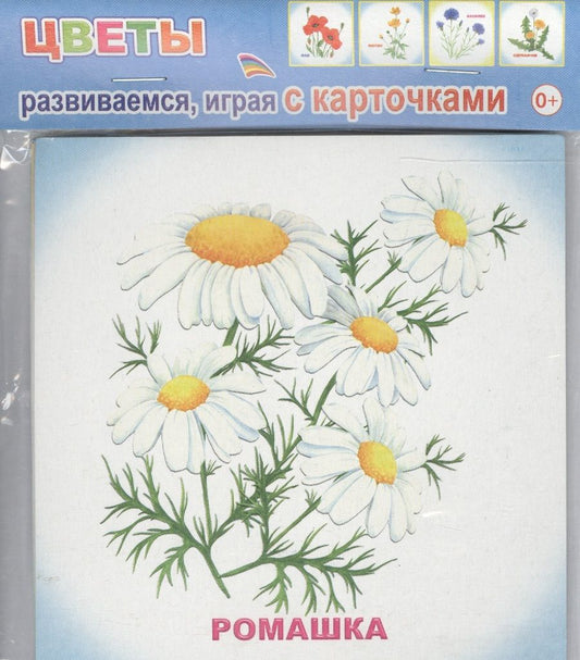 Обложка книги "Обучающие карточки Цветы (упаковка) (978-5-91282-756-3)"