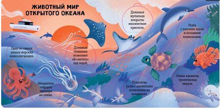 Фотография книги "Океаны и моря. Энциклопедия с окошками"