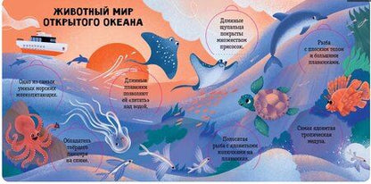 Фотография книги "Океаны и моря. Энциклопедия с окошками"