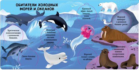 Фотография книги "Океаны и моря. Энциклопедия с окошками"