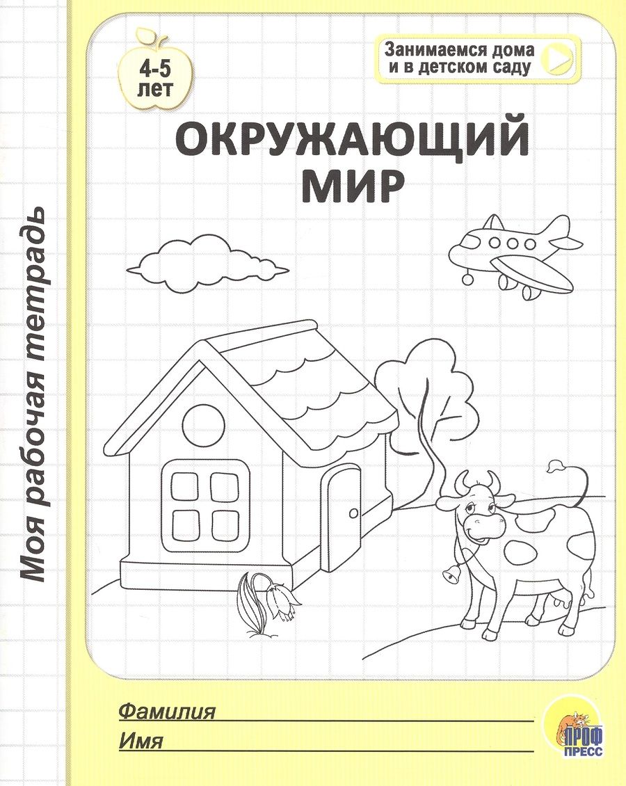 Обложка книги "Окружающий мир. 4-5 лет"