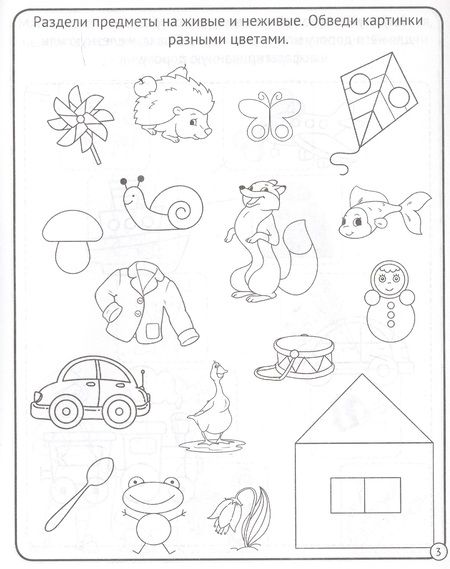 Фотография книги "Окружающий мир. 4-5 лет"