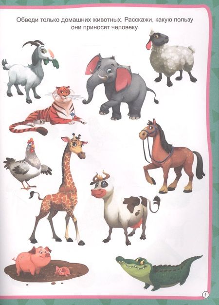 Фотография книги "Окружающий мир"