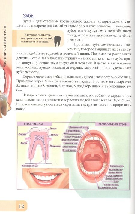 Фотография книги "Оксана Балуева: Человек и его тело"