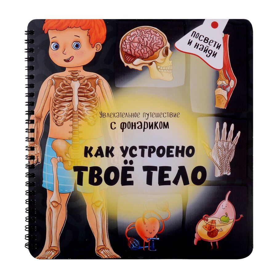 Обложка книги "Оксана Иванова: Как устроено твое тело. Увлекательное путешествие с фонариком"