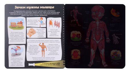 Фотография книги "Оксана Иванова: Как устроено твое тело. Увлекательное путешествие с фонариком"