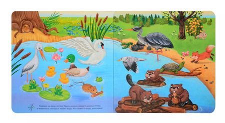 Фотография книги "Оксана Иванова: Я еду за город. Виммельбух с окошками"