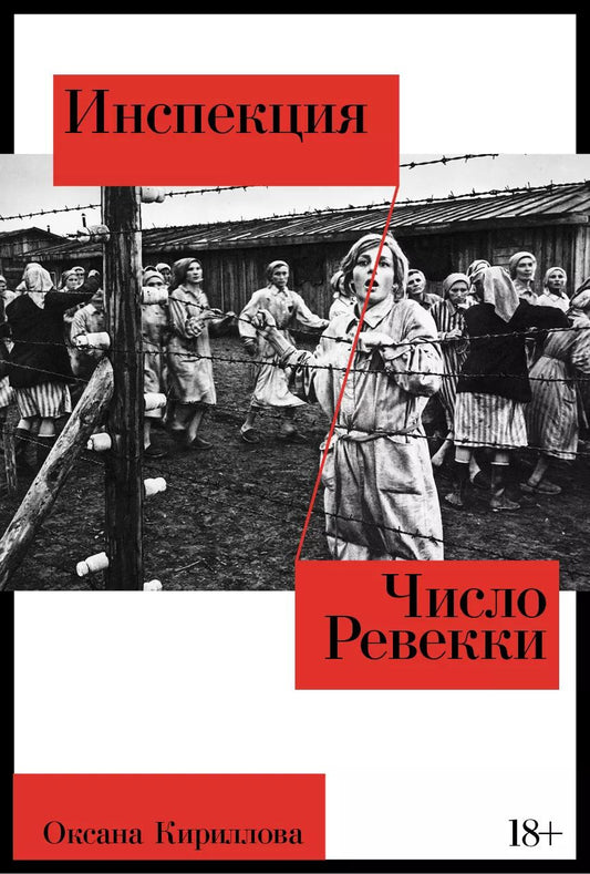 Обложка книги "Оксана Кириллова: Инспекция. Число Ревекки"