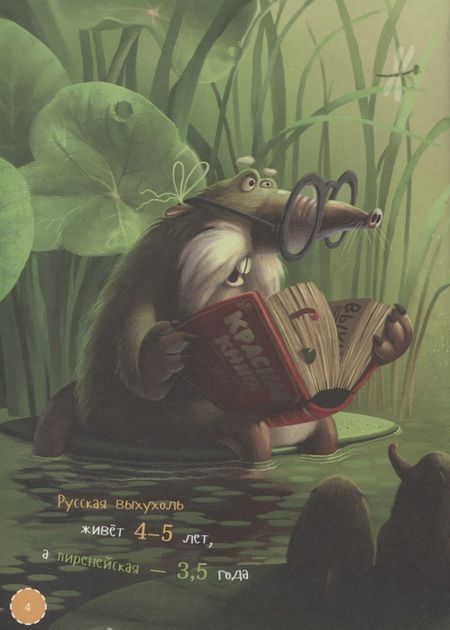 Фотография книги "Оксана Коростышевская: Я выхухоль"