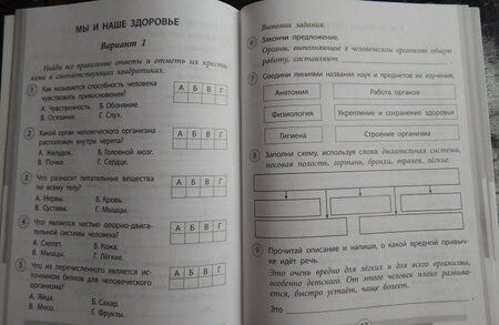 Фотография книги "Оксана Кучук: Окружающий мир. 3 класс. Проверочные работы. ФГОС"