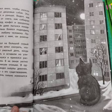 Фотография книги "Оксана Мухортова: Счастье за дверью"