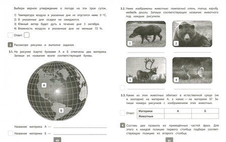 Фотография книги "Оксана Плоткова: Окружающий мир. 4 класс. Всероссийская проверочная работа. ФГОС"