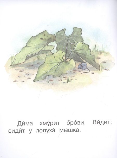 Фотография книги "Оксана Ребрикова: 3 ступень. Первые правила. Охрана"