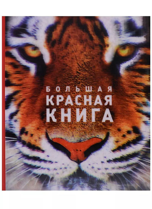 Обложка книги "Оксана Скалдина: Большая красная книга (стерео-варио)"