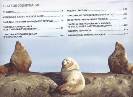 Фотография книги "Оксана Скалдина: Большая красная книга (стерео-варио)"