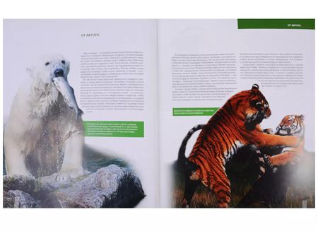 Фотография книги "Оксана Скалдина: Большая красная книга (стерео-варио)"
