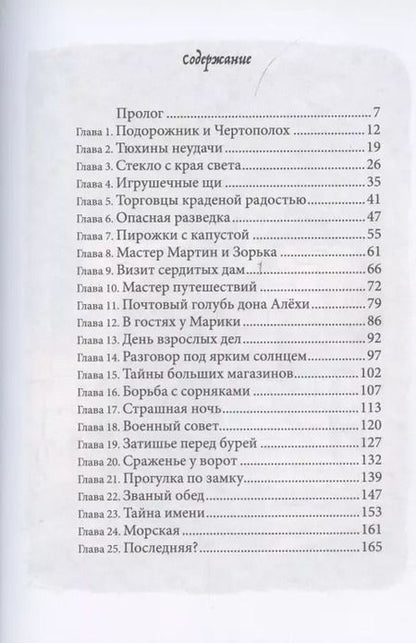 Фотография книги "Оксана Смирнова: Стекло старьевщика"