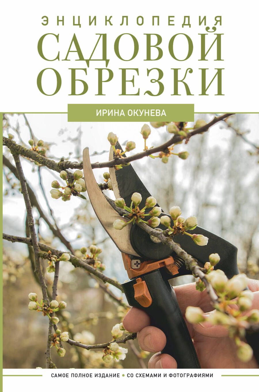 Обложка книги "Окунева: Энциклопедия садовой обрезки"