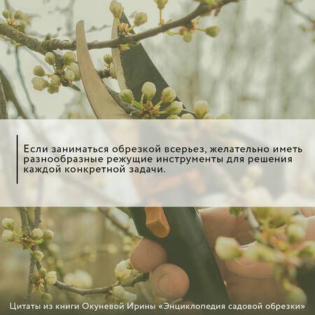 Фотография книги "Окунева: Энциклопедия садовой обрезки"