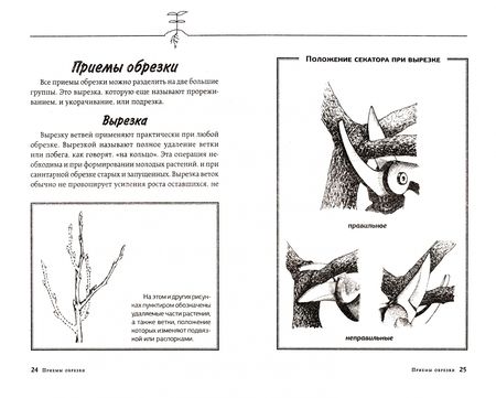 Фотография книги "Окунева: Садовая обрезка. Особенности обрезки плодовых растений и кустарников своими руками"