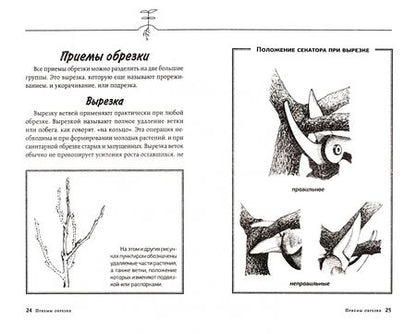 Фотография книги "Окунева: Садовая обрезка. Особенности обрезки плодовых растений и кустарников своими руками"