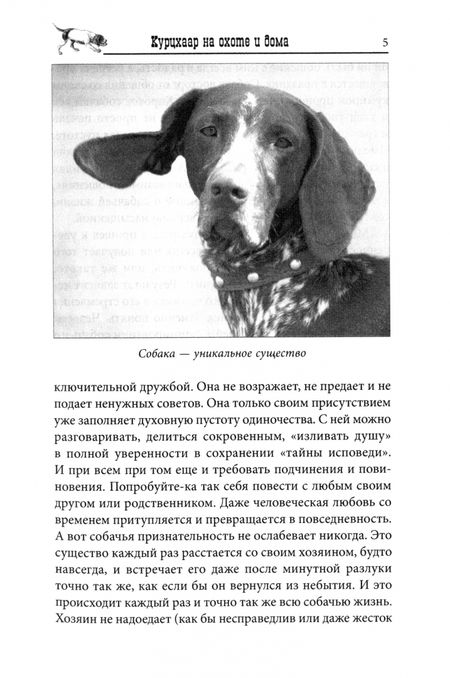 Фотография книги "Олег Малов: Курцхаар на охоте и дома"