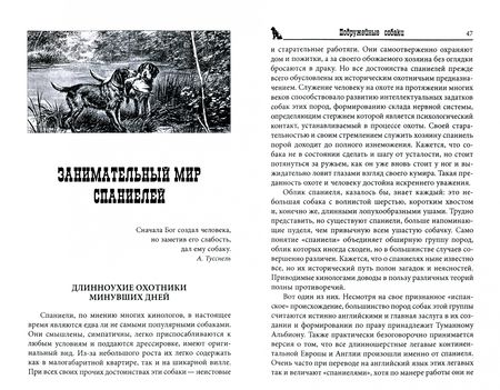 Фотография книги "Олег Малов: Подружейные собаки. Ретриверы, спаниели, легавые"