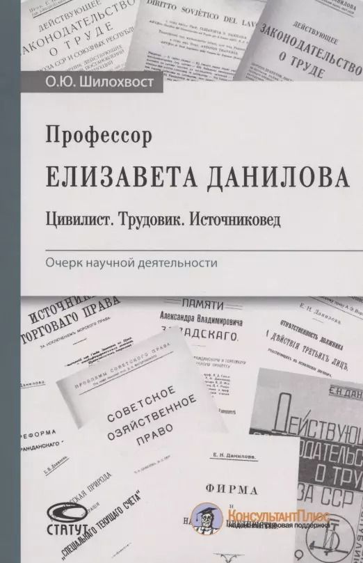Обложка книги "Олег Шилохвост: Профессор Елизавета Данилова. Цивилист. Трудовик. Источниковед. Очерк научной деятельности"