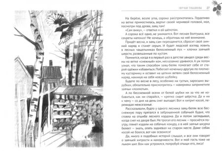 Фотография книги "Олег Трушин: Звуки тишины. Рассказы и очерки о природе"