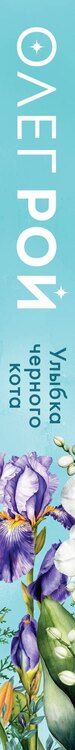 Фотография книги "Олег Юрьевич: Улыбка черного кота (формат клатчбук)"