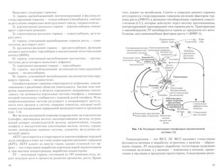 Фотография книги "Олейник, Самойлова, Матвеева: Клиническая эндокринология детей и подростков. Учебное пособие. В 2-х частях. Часть 1"