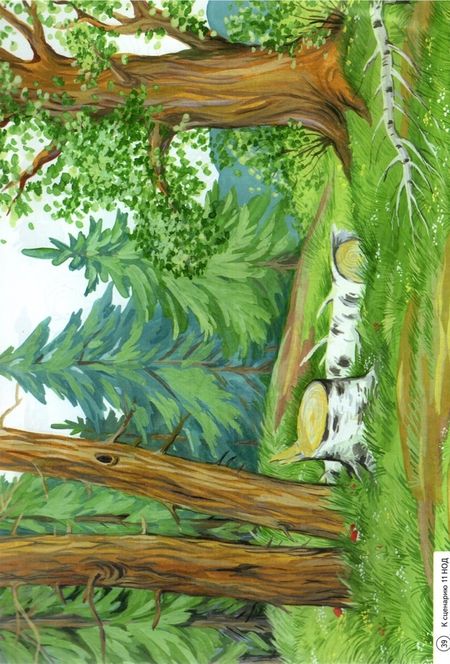 Фотография книги "Олеся Романович: Дошкольная математика для детей 4–5 лет с ОВЗ. Демонстрационный материал"