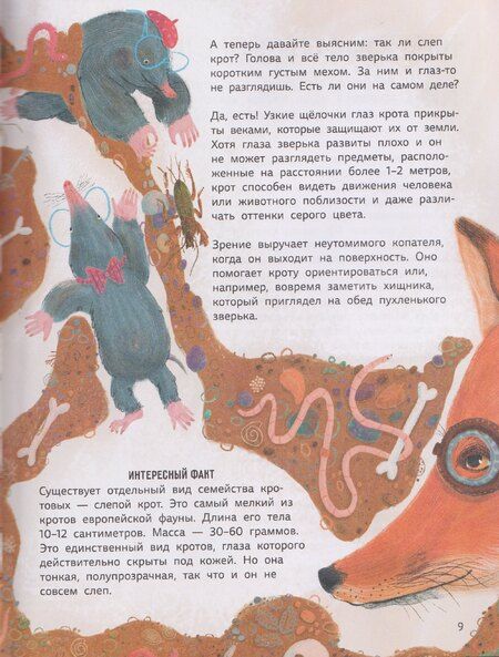 Фотография книги "Ольга Дылдина: Мифы о животных"
