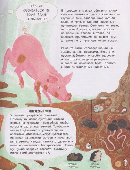 Фотография книги "Ольга Дылдина: Мифы о животных"