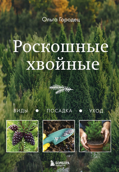 Обложка книги "Ольга Городец: Роскошные хвойные: виды, посадка, уход"