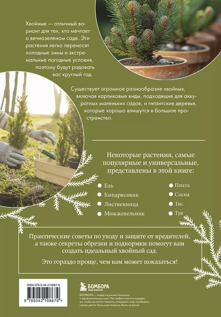 Фотография книги "Ольга Городец: Роскошные хвойные: виды, посадка, уход"