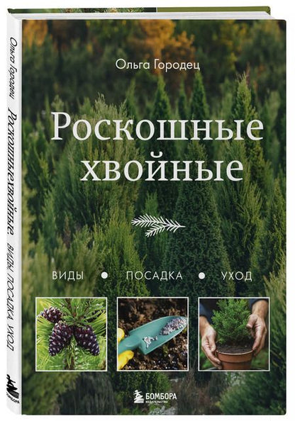 Фотография книги "Ольга Городец: Роскошные хвойные: виды, посадка, уход"