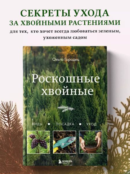 Фотография книги "Ольга Городец: Роскошные хвойные: виды, посадка, уход"