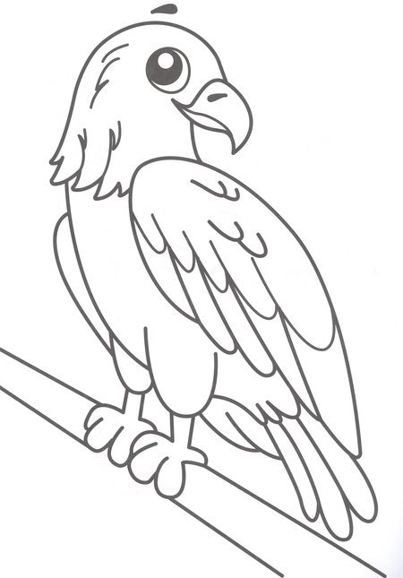 Фотография книги "Ольга Гринина: РАСКРАСКА С МЕЛКАМИ. ДИКИЕ ЖИВОТНЫЕ"