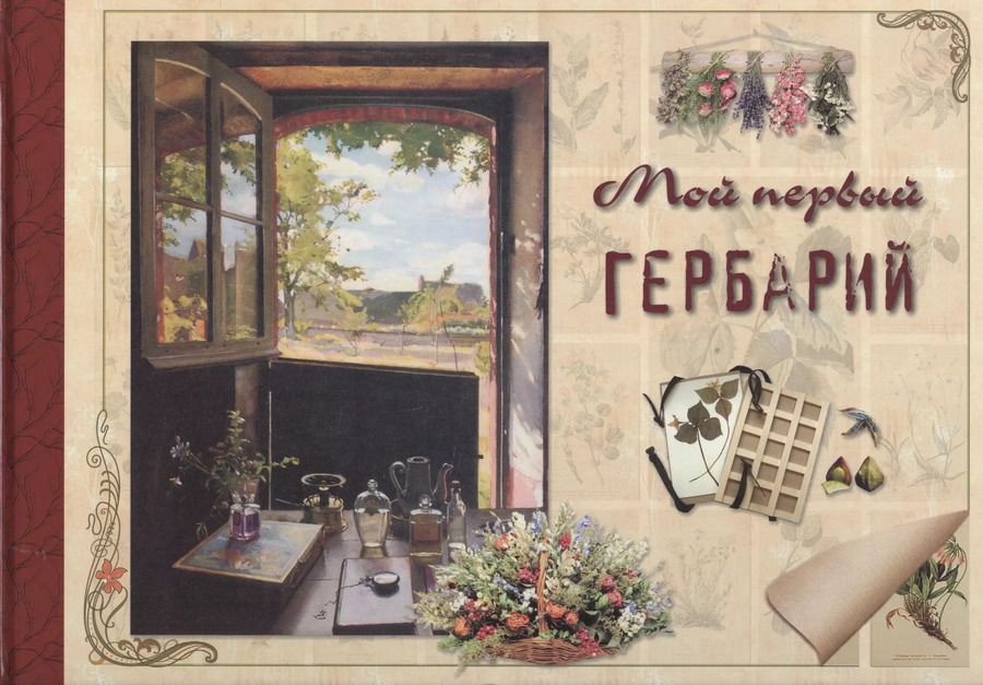 Обложка книги "Ольга Колпакова: Мой первый гербарий"