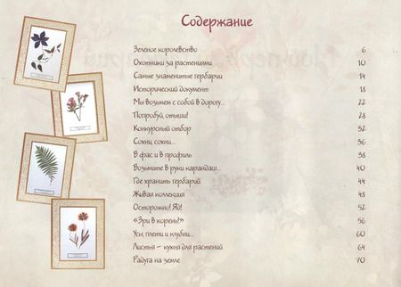 Фотография книги "Ольга Колпакова: Мой первый гербарий"