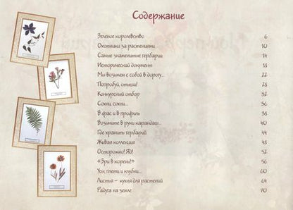 Фотография книги "Ольга Колпакова: Мой первый гербарий"