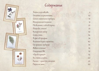 Фотография книги "Ольга Колпакова: Мой первый гербарий"