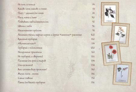 Фотография книги "Ольга Колпакова: Мой первый гербарий"