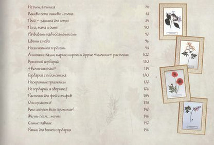 Фотография книги "Ольга Колпакова: Мой первый гербарий"