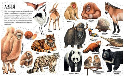 Фотография книги "Ольга Константиновская: Приключения улитки Элли в мире животных"